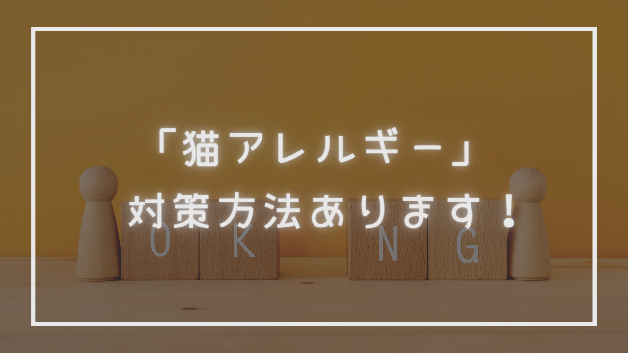 【諦めるべき？】猫アレルギーだけど猫を飼いたい人必見！対策方法も◎